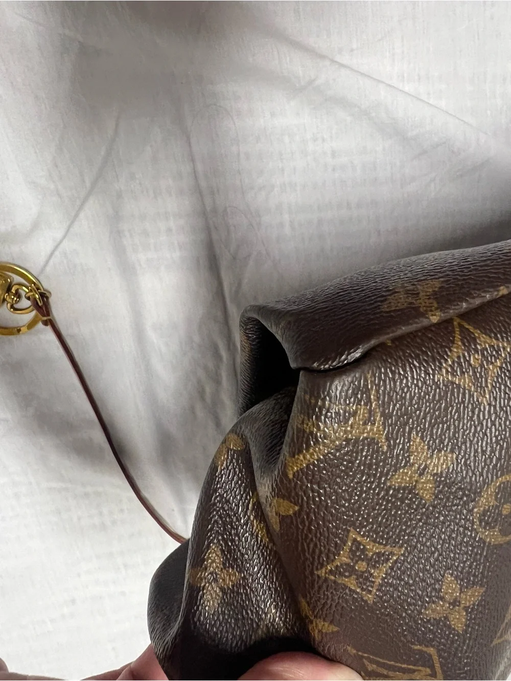 Louis Vuitton Monogram Artsy